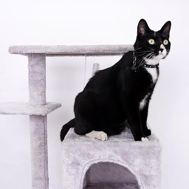 Foto 5 de 8 de Árbol para Gatos Centro de Actividades con Varios Niveles Plataformas Elevadas Poste Rascador de Sisal Caseta…