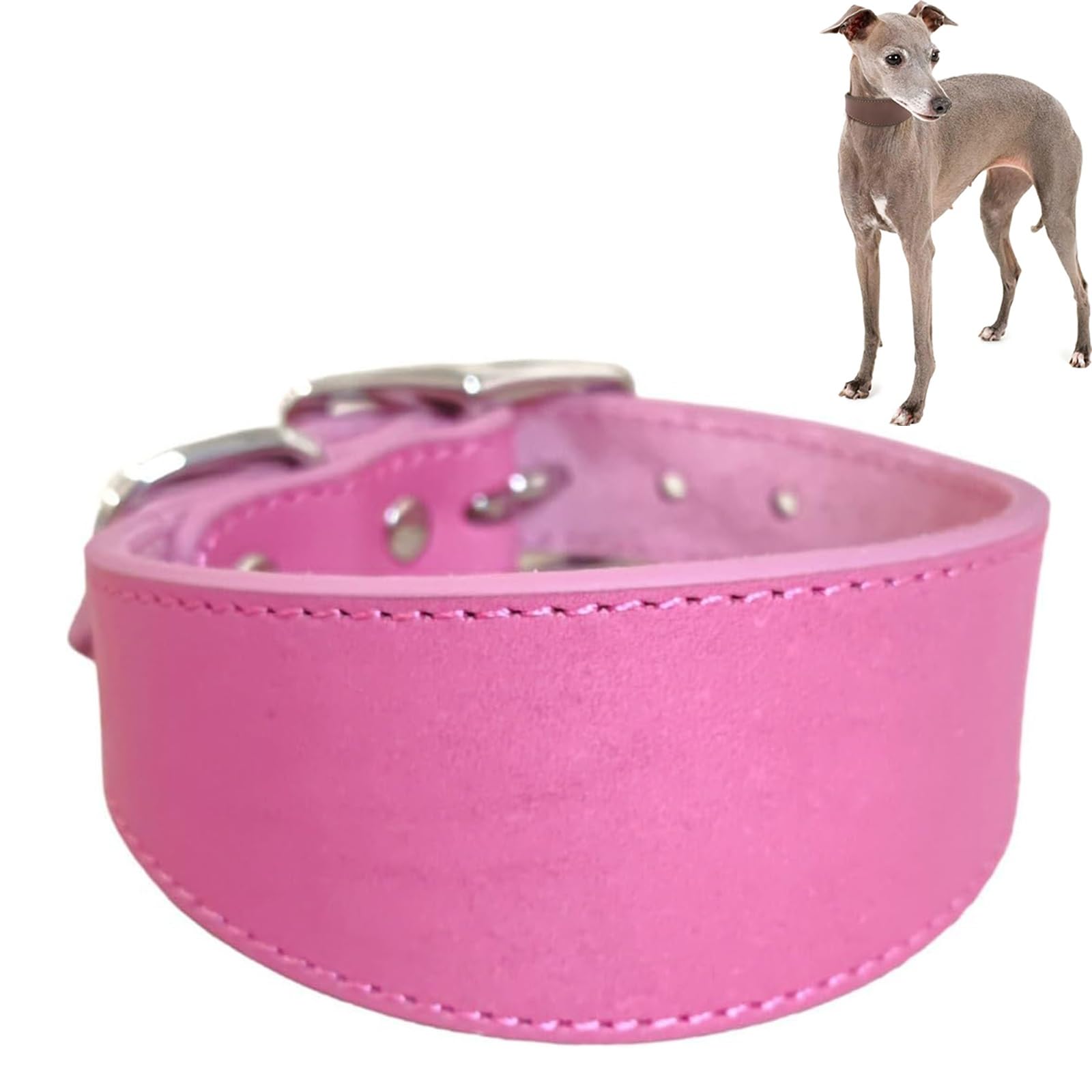 Wide Padded Leather Dog Collar for Italian Greyhound & Whippet, Adjustable Soft Pet Collar with Heavy Duty D-Ring for Daily Walking & Outdoor Use(Rose Red,M)