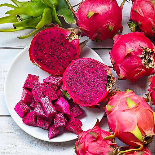 Qauzuy Garden 20 Purple Dragon Fruit Seeds Pitahaya Pitaya Strawberry Pear, Non-Gmo Heirloom Fruit Seeds, Perennial Fruits Plant For Garden Home Outdoor #TOP2