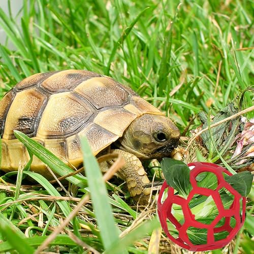 2 Stück Schildkröte Leckerli-Ball Spielzeug - Hängende Kleine Tiere Gemüse Gras Obst Fütterung und Spiel Heu Feeder Ball für Kleintiere Haustier (Grün und Rot)