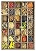 Educa Spices Puzzle (1000 Piece)