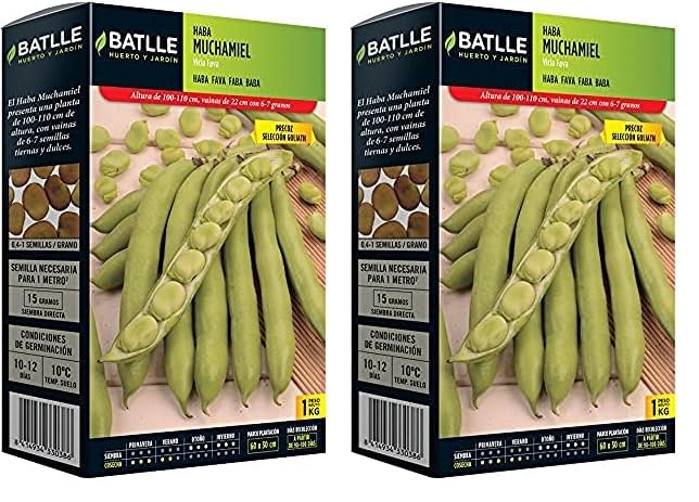 Semillas Batlle Haba Muchamiel Selc. GOLIATH (Paquete de 2)