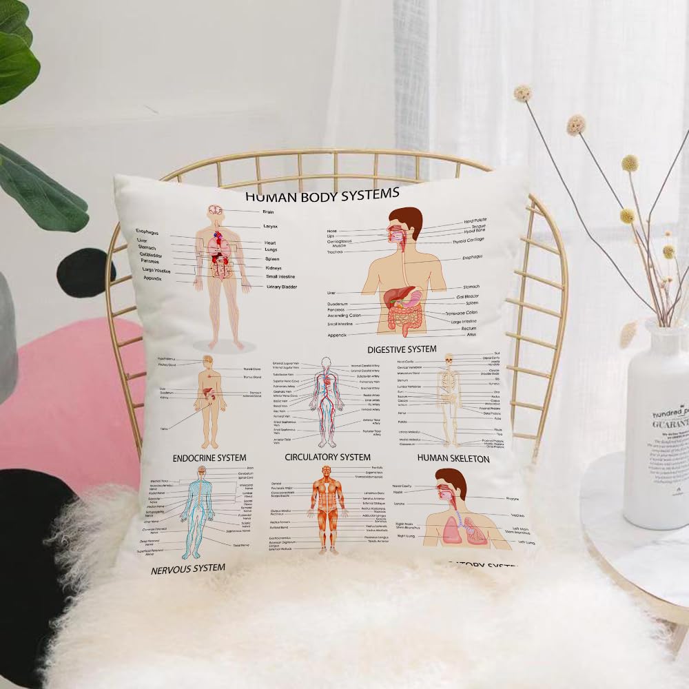 HYMSXW Cushion Cover,Throw Pillow Case Home Decorative for Living Room Bedroom Sofa Chair 20X20 Inch,Human Anatomy,Complete Chart of Different Organ Body Structures Cell Life Medic,Pillowcase 50X50cm