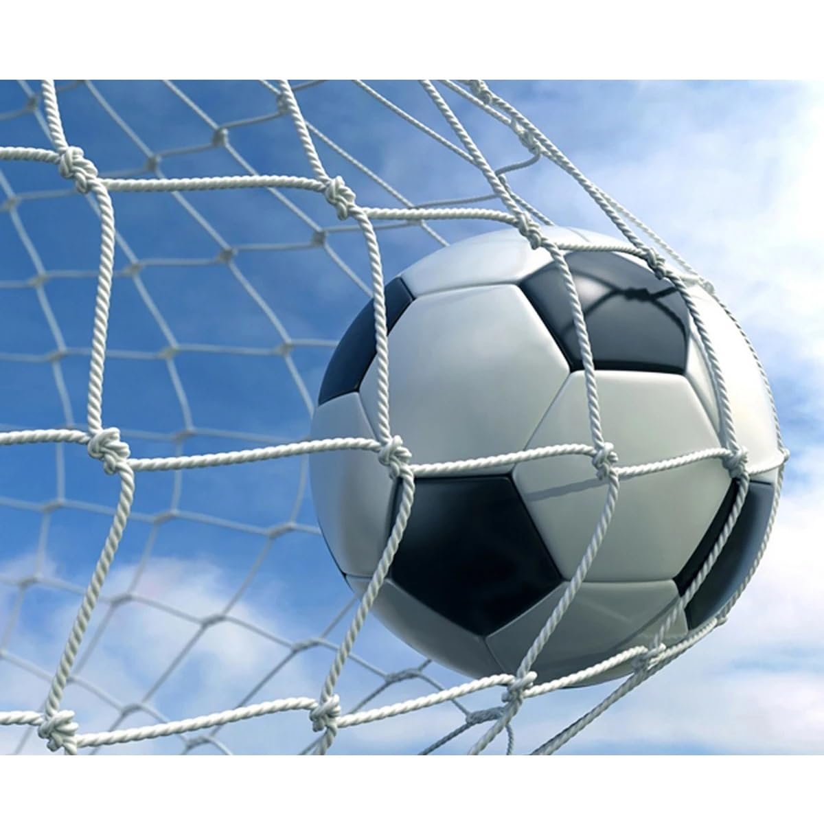 Filet Pare-Ballon Football 2,4 X 1,8 M - Filet De But Et De Protection Pour Entraînement