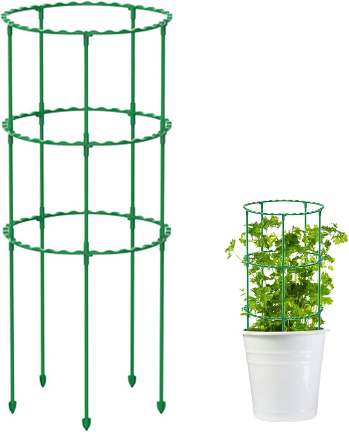BEIJIALY Plant Support Cage for Indoor Plants,Small Tomato Cages for Garden