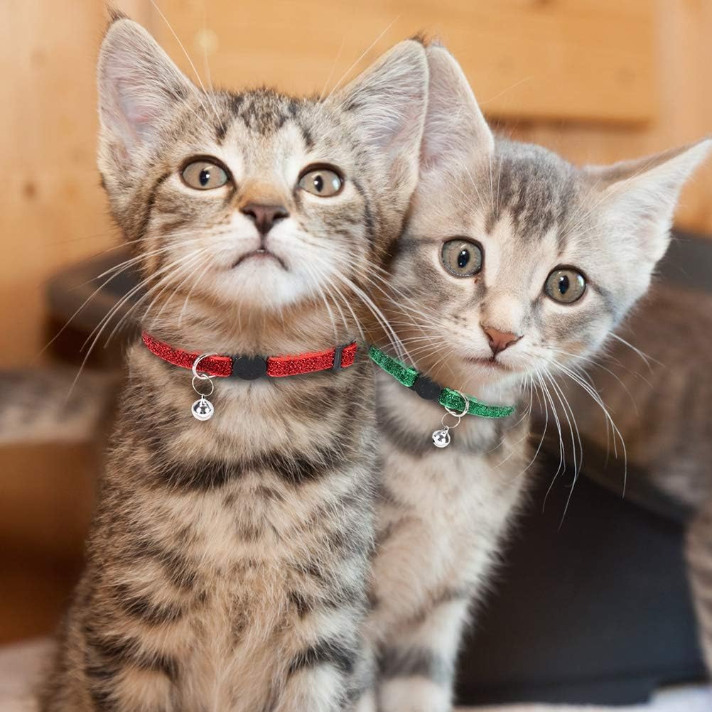 sparkly cat collars