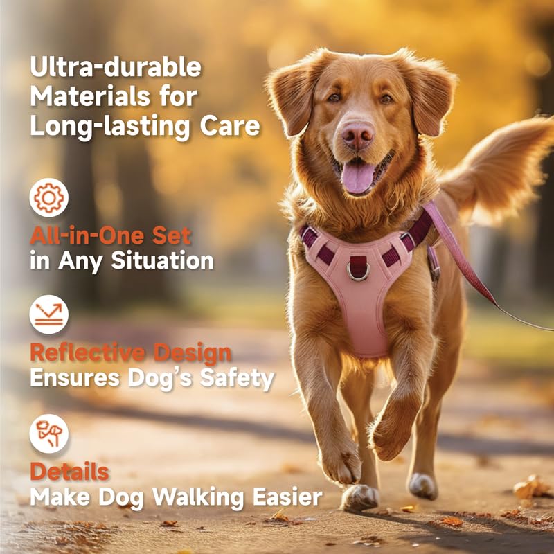 Image of Dog Harness and Leash Set with Collar, No Pull Reflective Pet Vest Harness with Control Handle for Medium Large Dogs Walking and Training