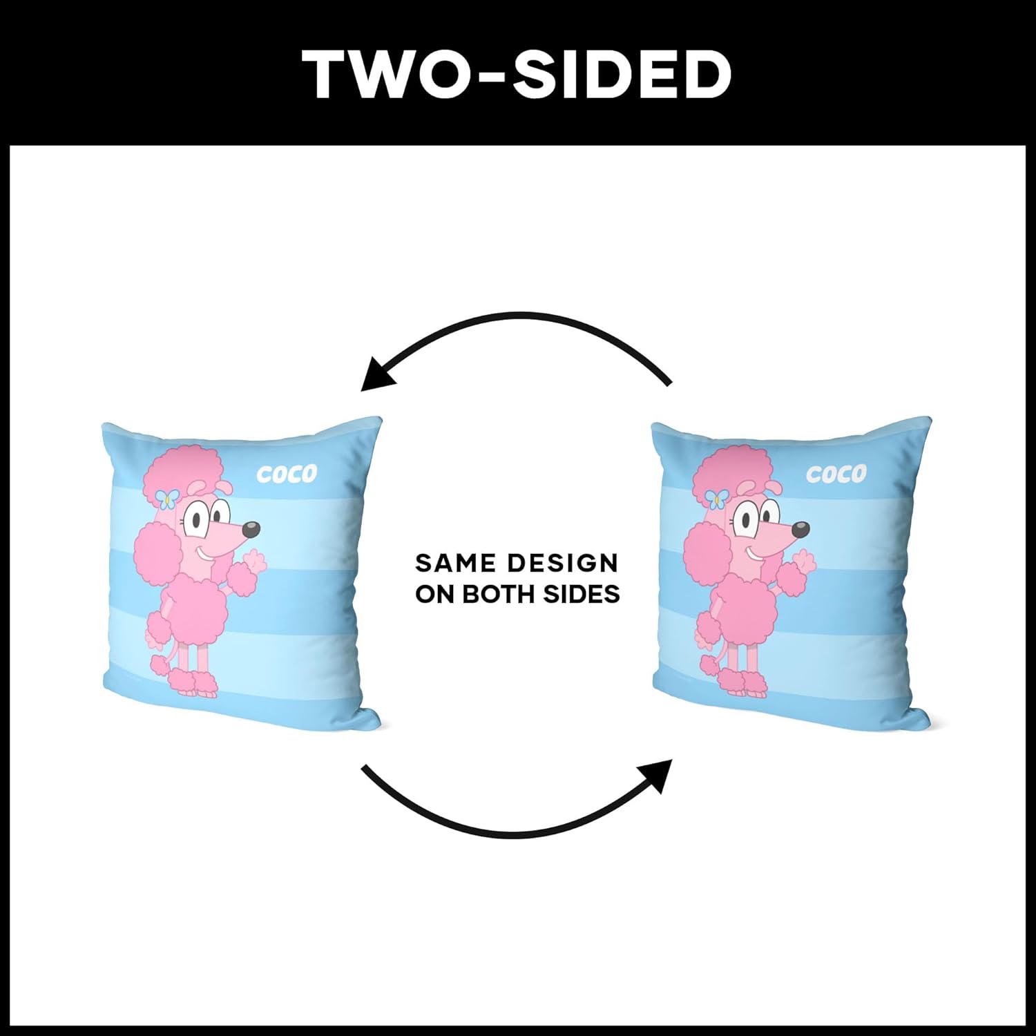 Northwest Bluey Pillow, 18" x 18", Roll Call Coco