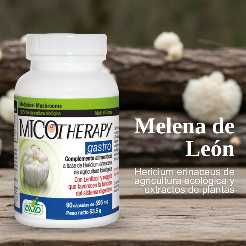 MICOTHERAPY Gastro Melena de León 90 Cápsulas de 595mg para la Salud Gastrointestinal sin Glúten. Extracto de Lions Mane (Hericium Erinaceus) para la Acidez, Reflujo, Úlcera, Inflamación y Digestión