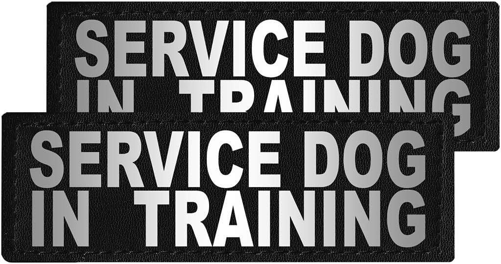 DoglineRemovable Interchangeable SERVICE DOG IN TRAINING patches - for vests, harnesses, collars. Unimax, Alpha, MaxAire, Omega
