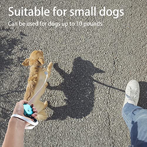 Laisse rétractable pour chien ruban nylon de 2 à 3m - 5