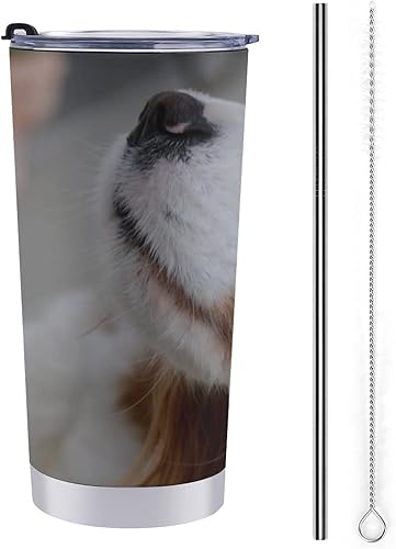 ALLMIX SPOROT Vaso de acero inoxidable con tapa y pajita 20 onzas lindo Cavalier King Charles Spaniel para café para viaje regalo para el día de San