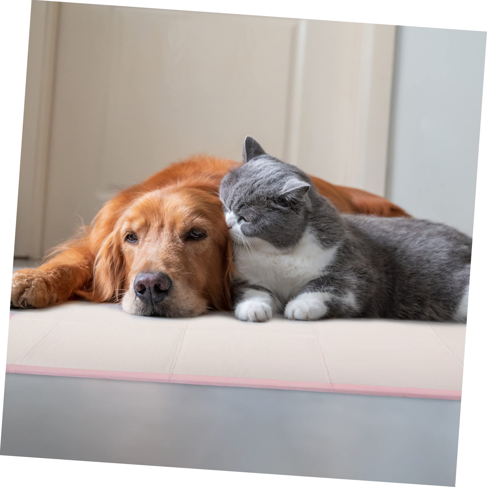 Tappetini Igienici Assorbenti per Cani e Cuccioli Rosa, 1 Sacchetto | Addestramento e Area Riposo, Polimero Importato Polpa di Legno, Film Pe e Carta Igienica