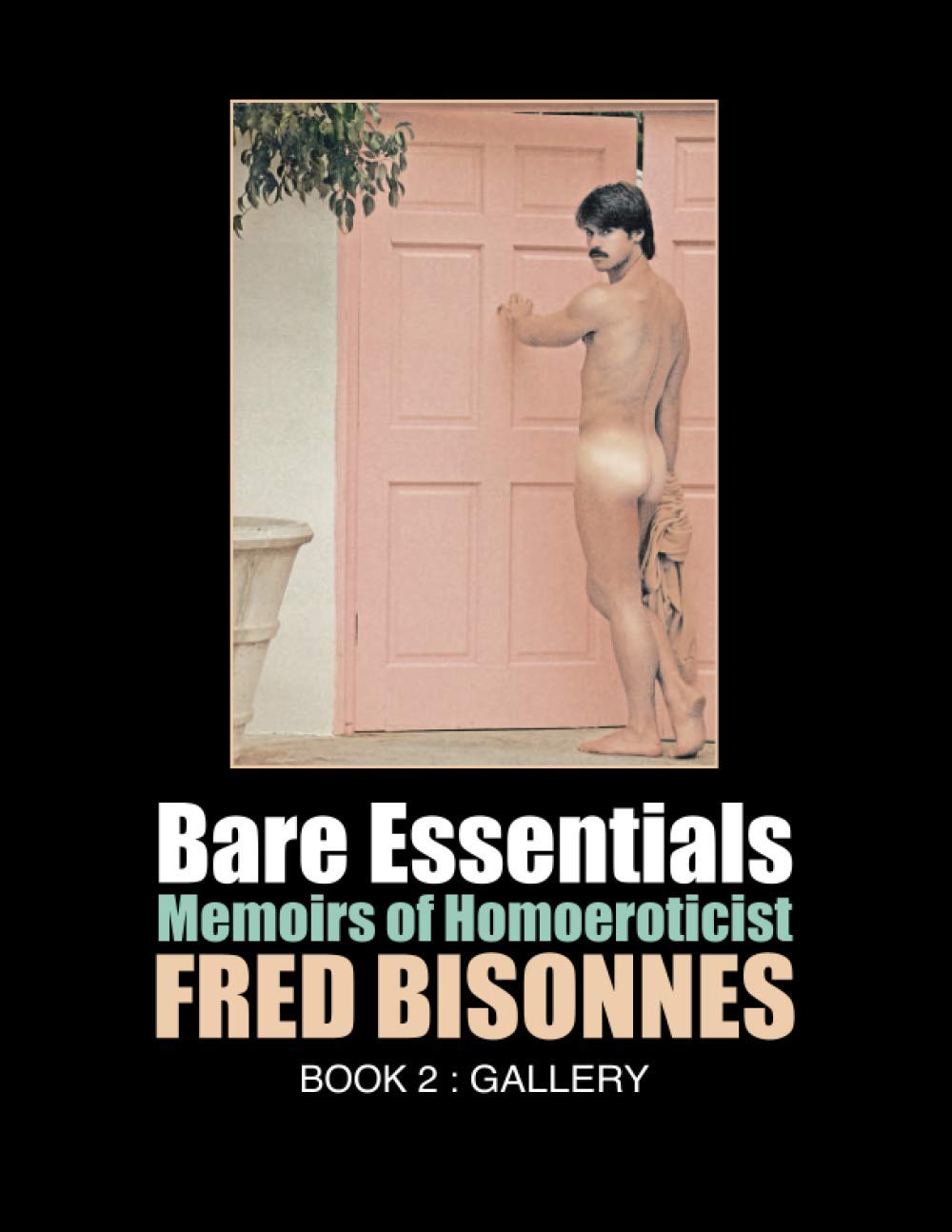 Bare Essentials: Memoir of Homoeroticist Fred Bisonnes: Book 2: The Gallery