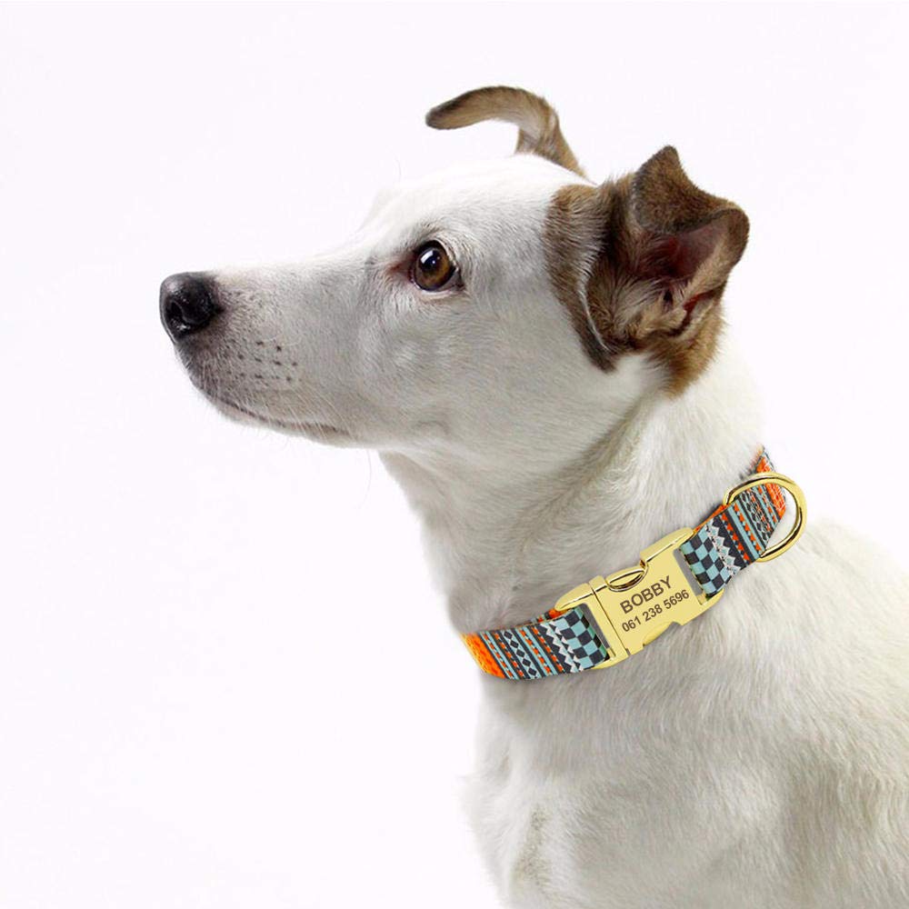 Collare di cane personalizzato Collare di etichetta per cane personalizzato in nylon Collare di identificazione per cuccioli di gatto con incisione stampata Collari di targhetta per animali dom