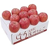 冬の贈り物お歳暮 長野県産 サンふじりんご ダイワ果園 長野県産サンふじりんご約2.5kg（8～12玉）