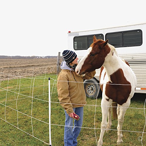 Miniatura 5 de Premier 1 Horse QuikFence Red eléctrica  BlancoNegro Doble Pico  48 pulgadas de alto x 50 pies de largo