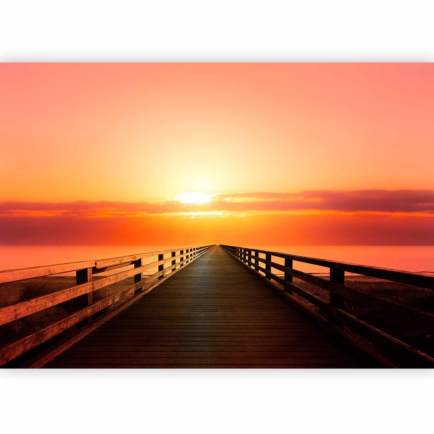 murando Photo Wallpaper 450x315 cm Non-Woven Premium Art Print Fleece Wall — image 1