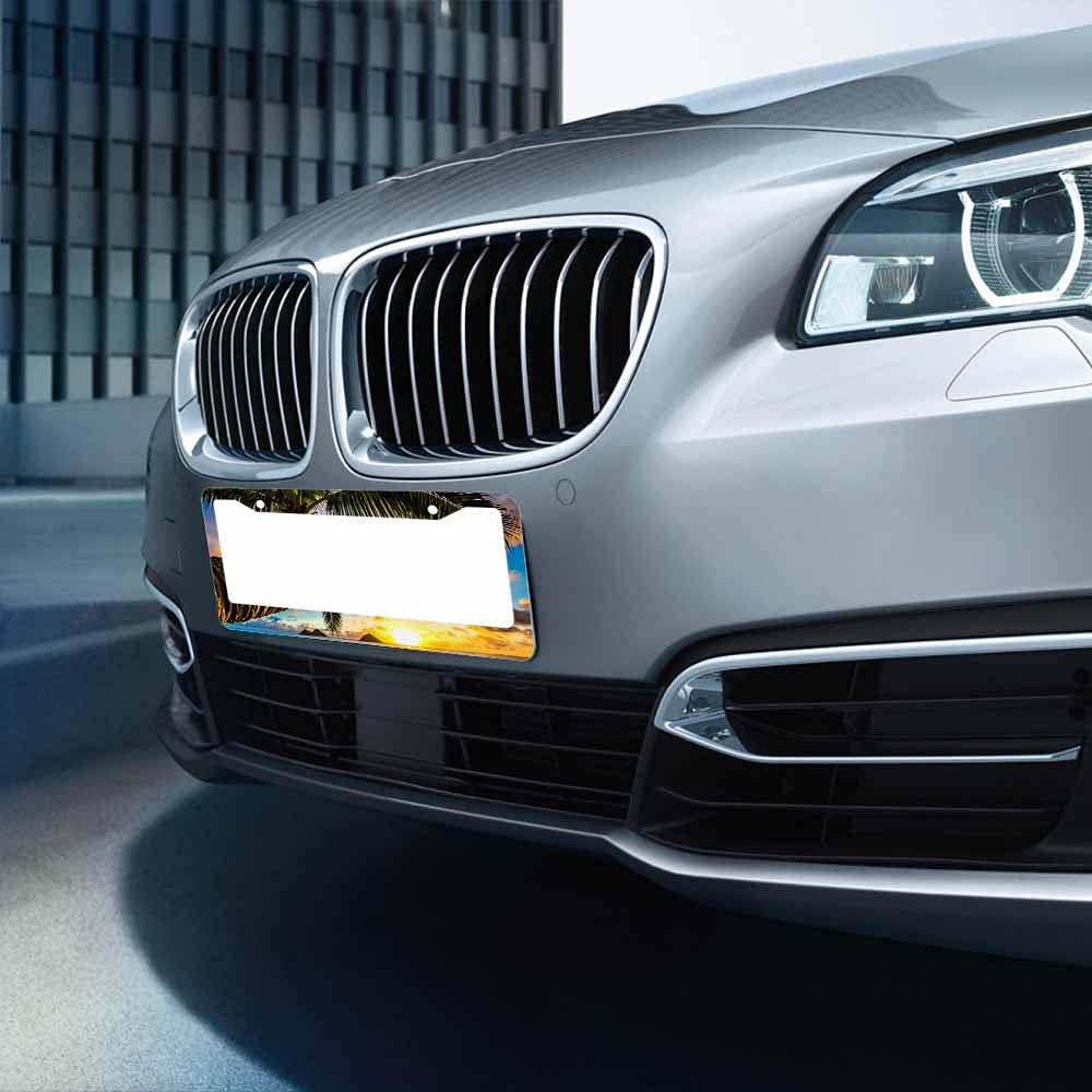 Nicokee Decorative License Plate Frame Black Celtic Viking Car Tag Frame Aluminum Auto License Plate Holder for Men Women