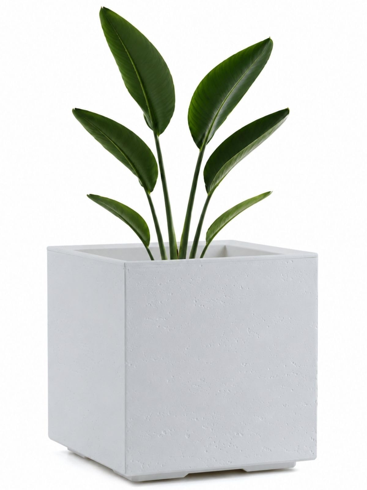 HowHomely Planter Flower Pot on Wheels Cream 40 x 40 x H 40 cm Wood Effect Flower Pot