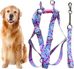 Coleira Peitoral Americano para Cachorro Médio e Grande com Guia Anti Puxão - Pitbull, Golden, Labrador, Rottweiler, Fila, Pastor Alemão, Doberman, Toni Corso (Confetes)