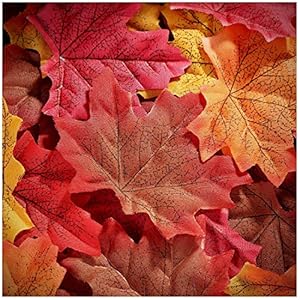 Whaline 300 Pieces Artificial Autumn Maple Le...