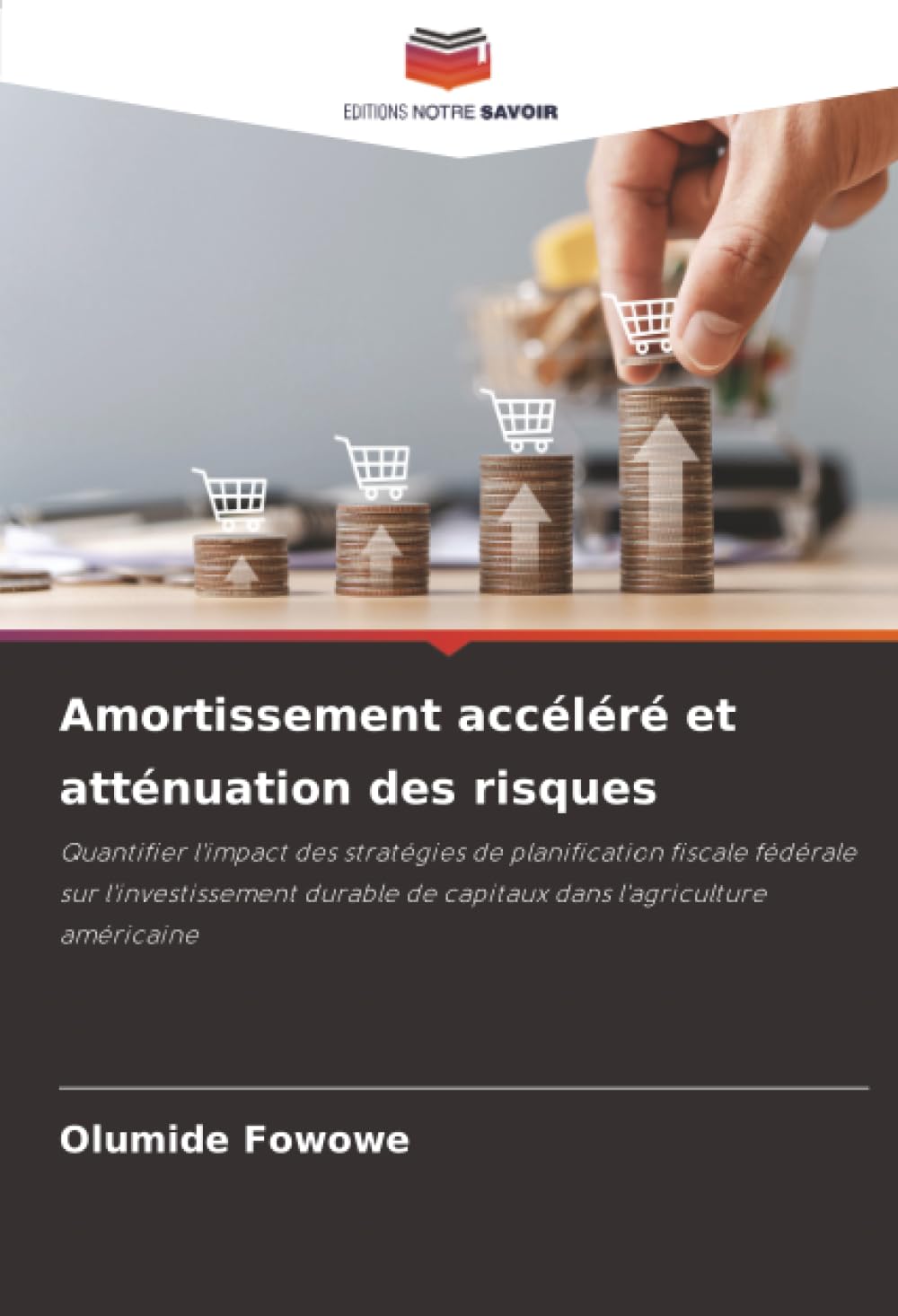 Amortissement accéléré et atténuation des risques: Quantifier l'impact des stratégies de planification fiscale fédérale sur l'investissement durable de capitaux dans l'agriculture américaine