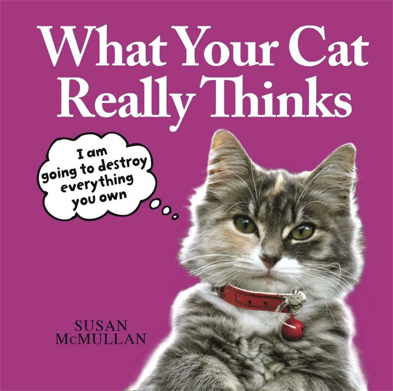 What Your Cat Really Thinks  - - - by Susan McMullan