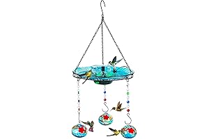 Hummingbird Oasis: Feed and Bathe Your Tiny Friends with This 2-in-1 Fountain Oasis