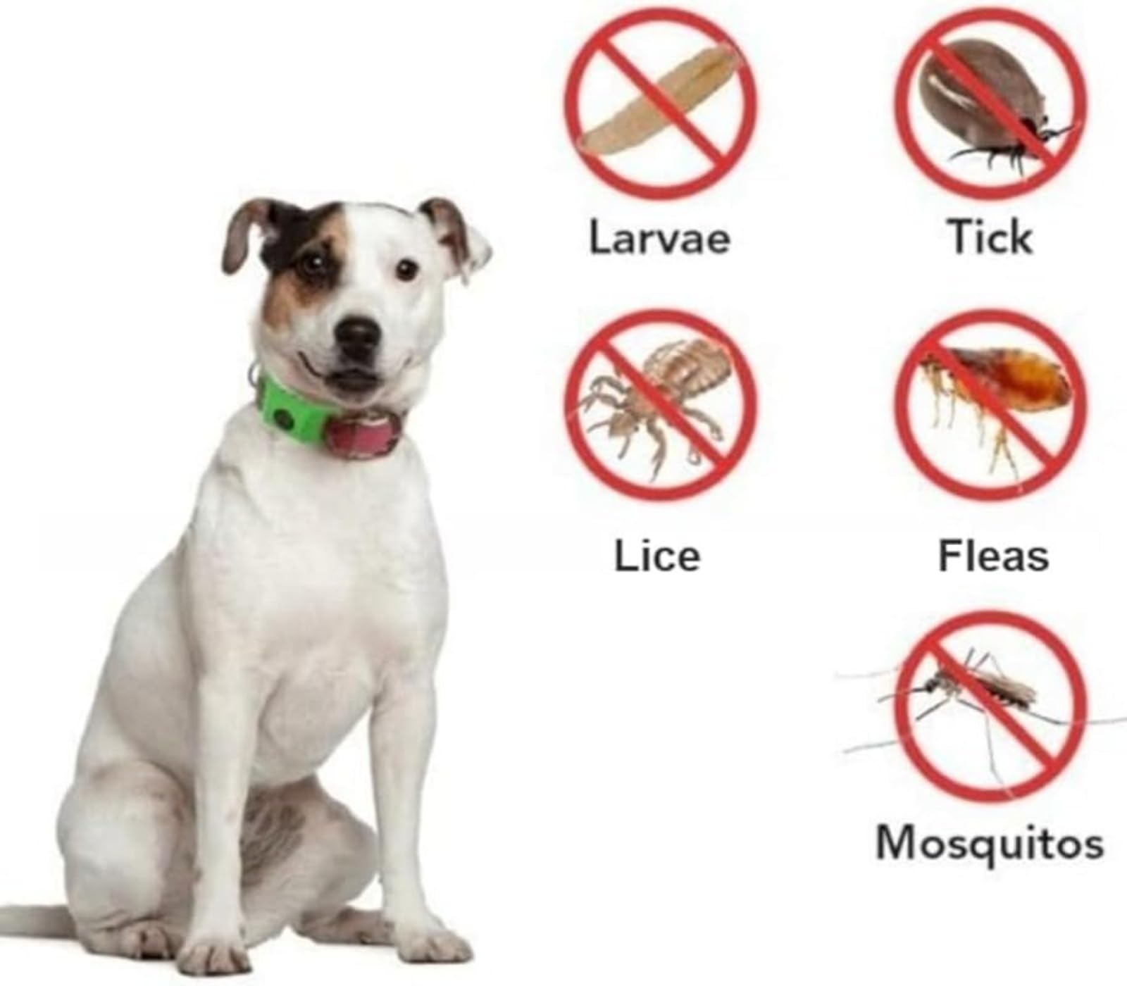 Acquality Pets Collare Antiparassitario 2.0 / Acqualitypets Ciondolo Antiparassitario, Adatto a Più Razze Di Animali Domestici (Nero)