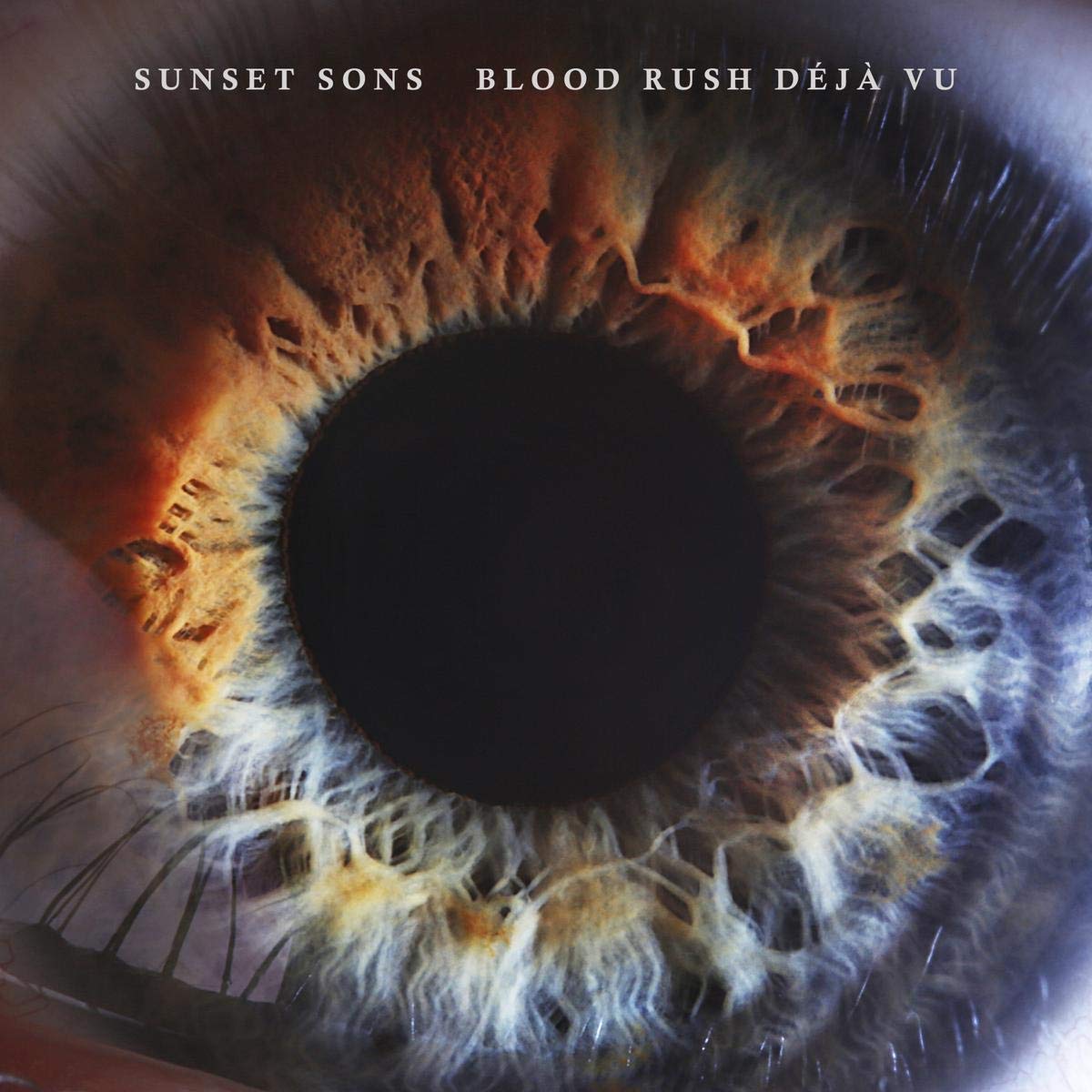 Blood Rush Déjà Vu [VINYL]