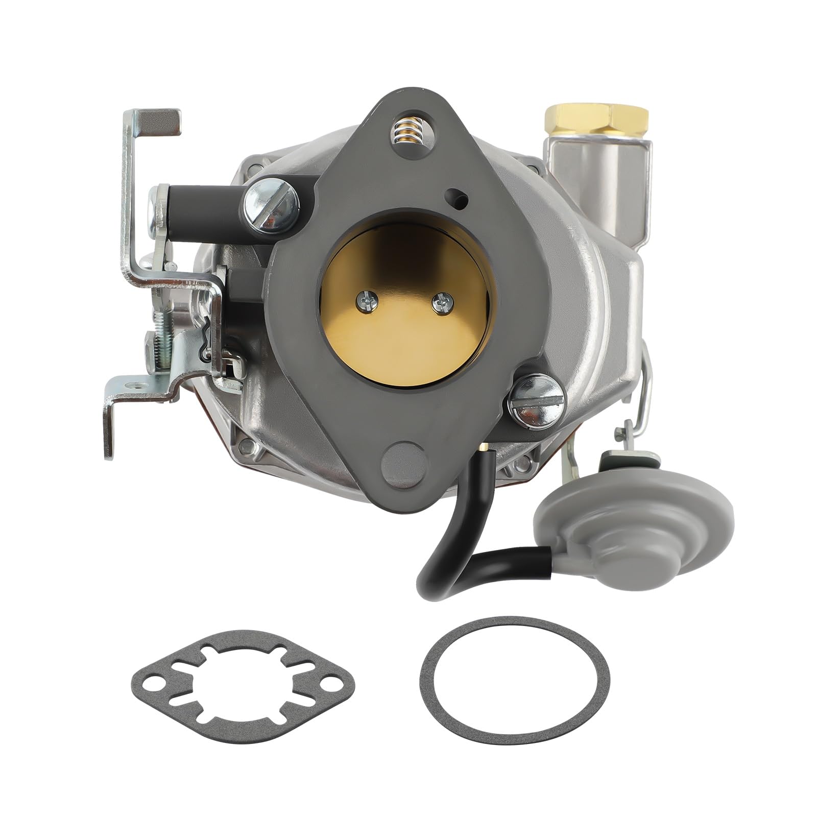 Amazon.com: DEUSES 1 Barrel Carburetor for Rochester BV for 