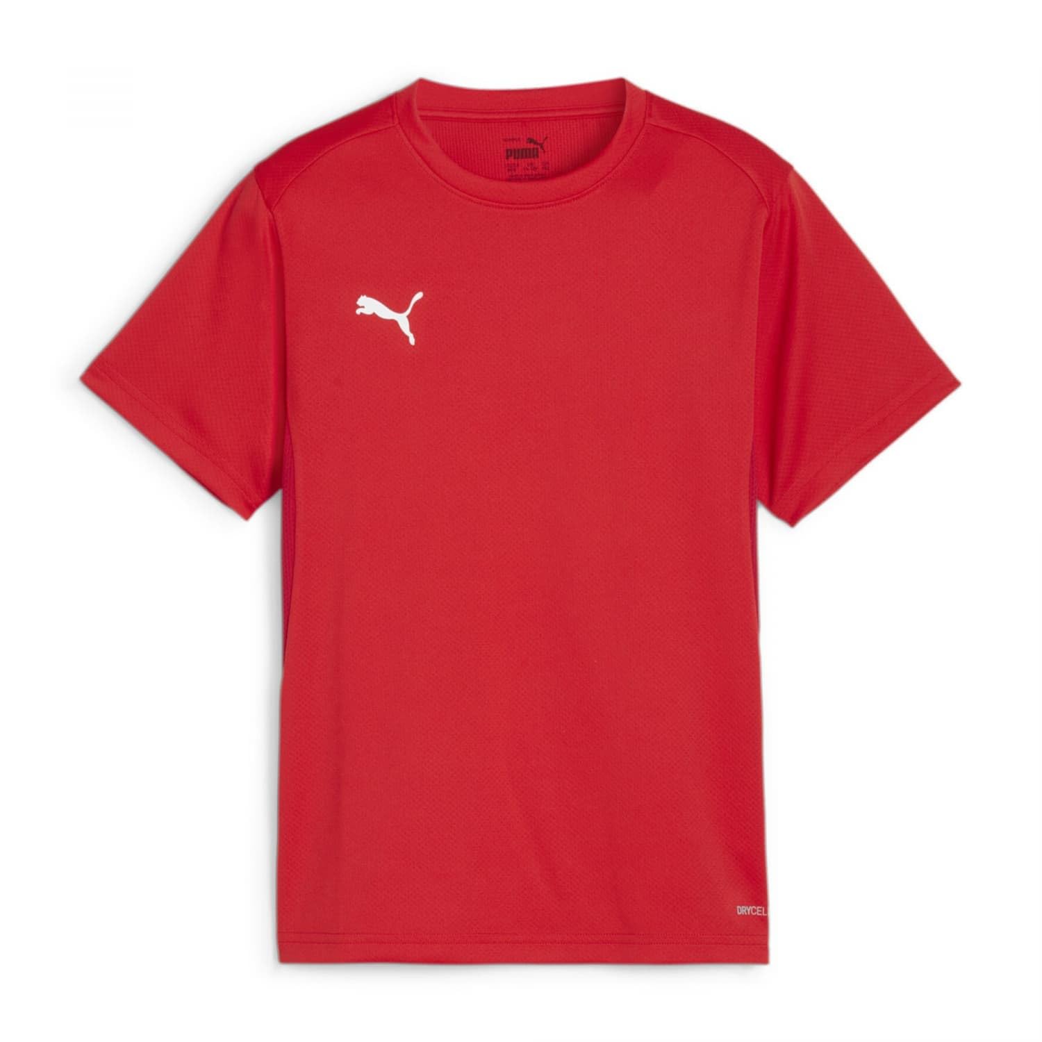 PUMA teamGOAL Jersey Jr