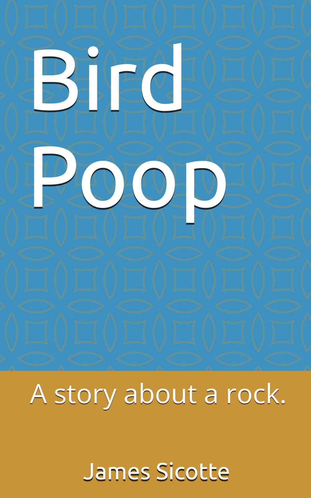 Bird Poop: A story about a rock.