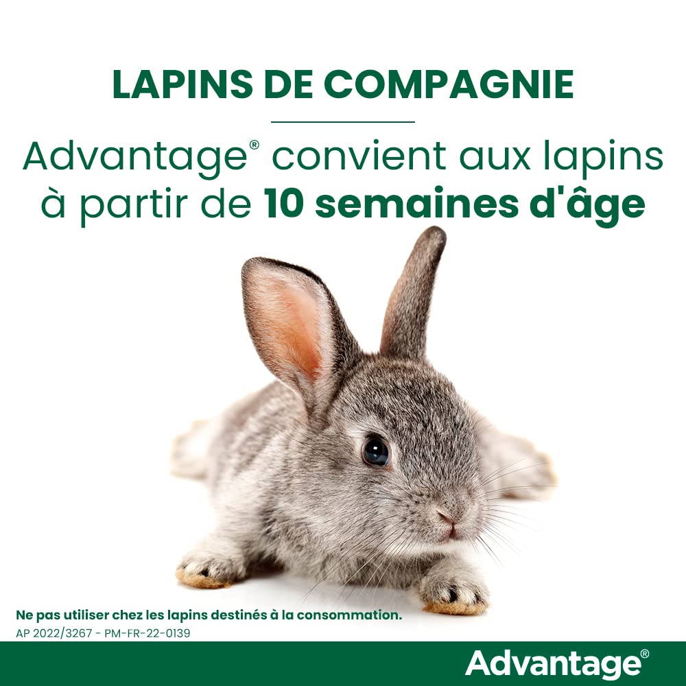 Advantage Chat & Lapin de Moins de 4 kg – Pipettes Anti puces Chat pour prévention des infestations – Traitement Anti puces Lapin pour Une Protection en continu Pendant 3 à 4 semaines – 6 x 0,4 ML