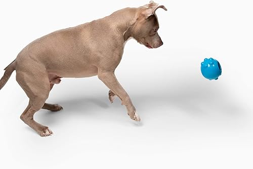 Vista 3 de Jolly Dipper - Juguete dispensador de golosinas para perros