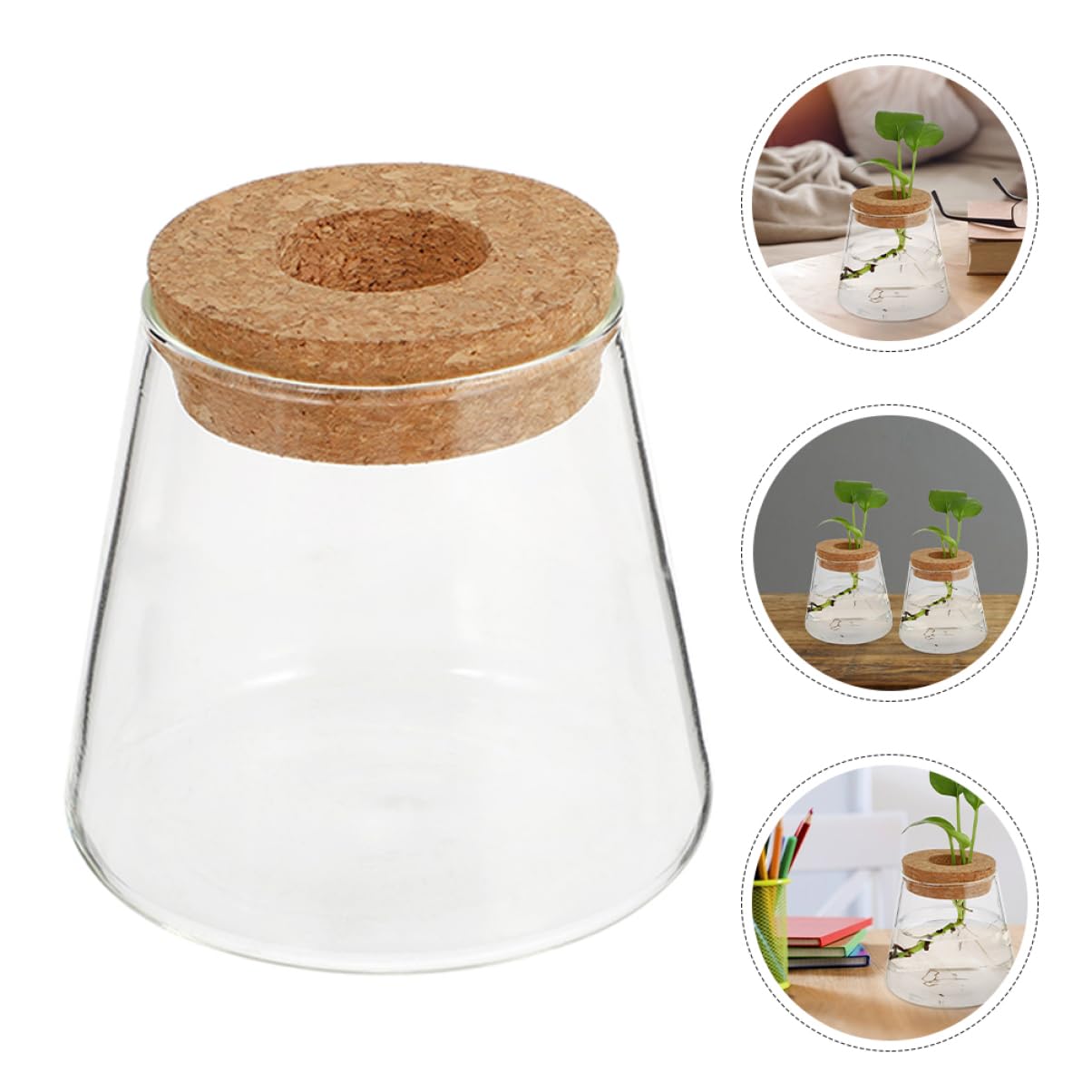 TOPBATHY 3pièces Vase Hydroponique Verre avec Couvercle Petite Jardinière pour Propagation De Plantes Terrarium De Bureau Transparent pour Fleurs