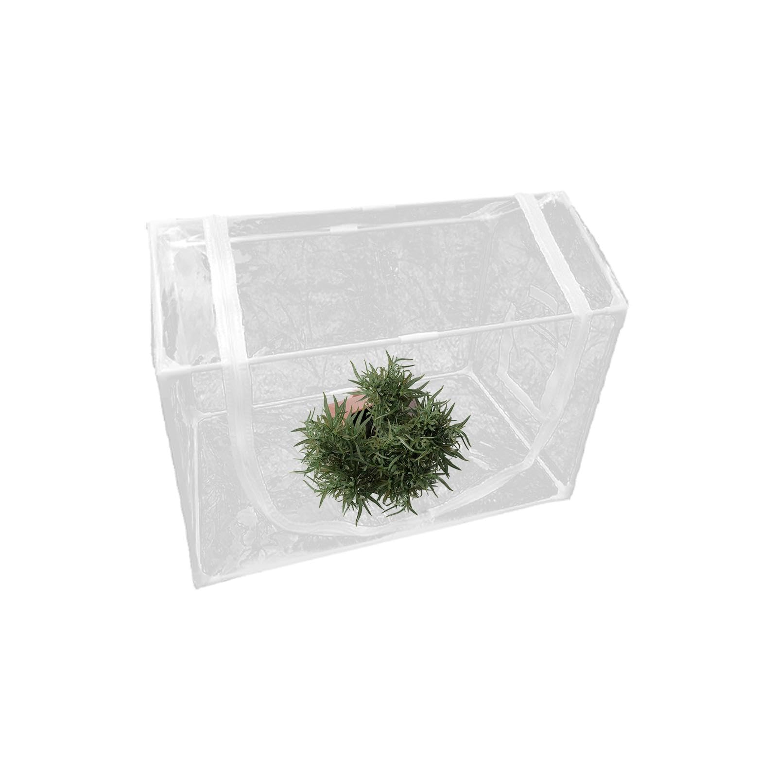 Piccola Serra Capanno di Protezione Antigelo Trasparente con Finestra | Protezione Termica Per Fiori Con Cerniera Per Il Giardinaggio Invernale, La Coltivazione Domestica, I Vasi, Il Patio E Il Gi