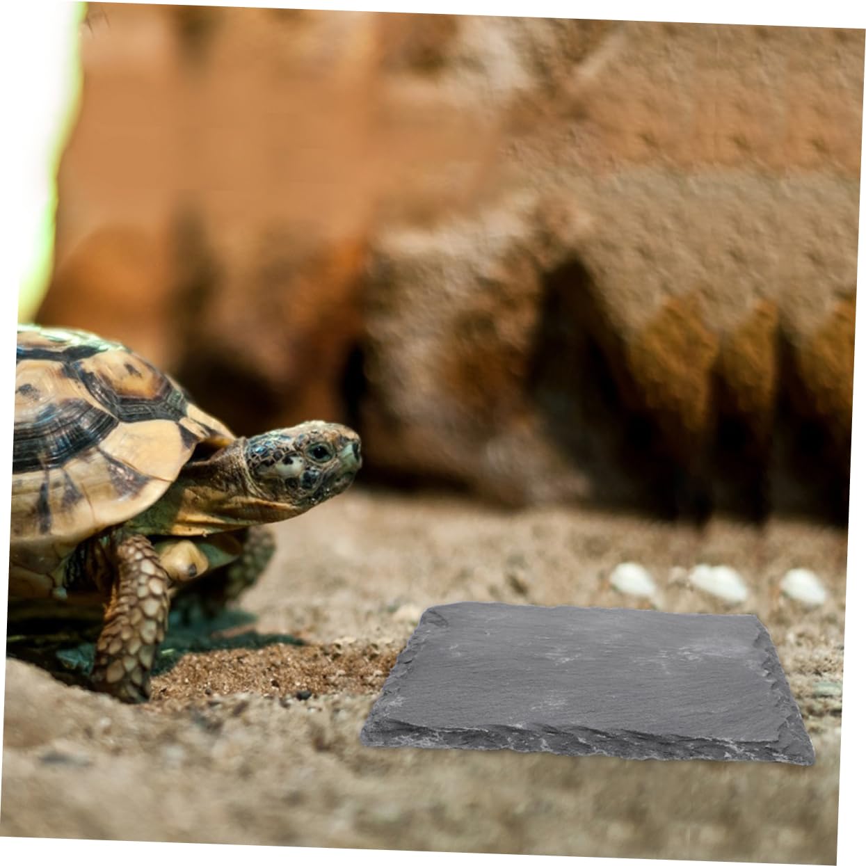 TOYANDONA 2 Stück Schildkröten Zubehör Sonnenplattform aus Schwarzem Felsen Multifunktionale Dekorative Schildkrötensteine für Aquarium und Reptilienbox