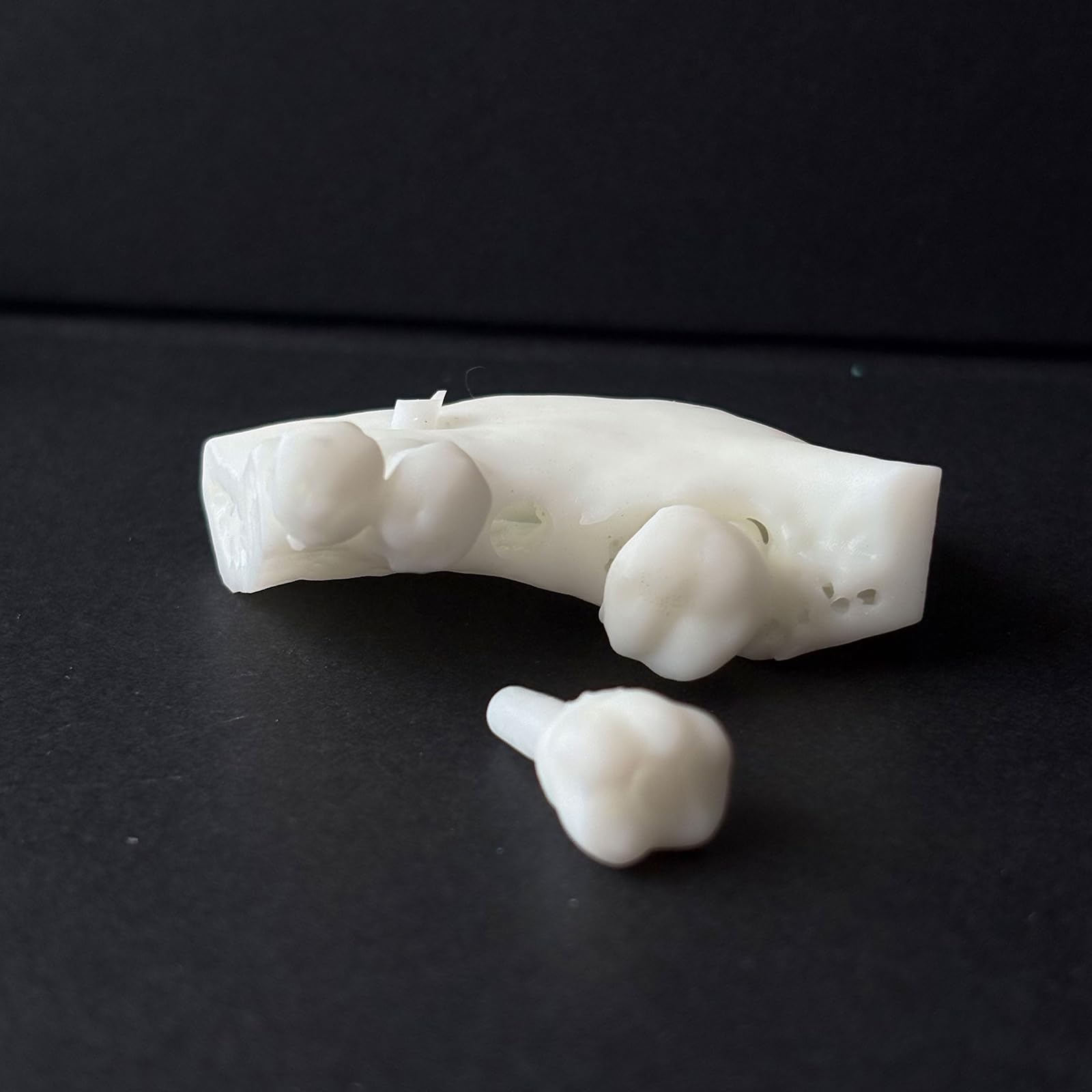Modello di Pratica per impianto Dentale - Modello di impianto in Osso alveolare simulato - per Studenti di odontoiatria e Strumento di Formazione