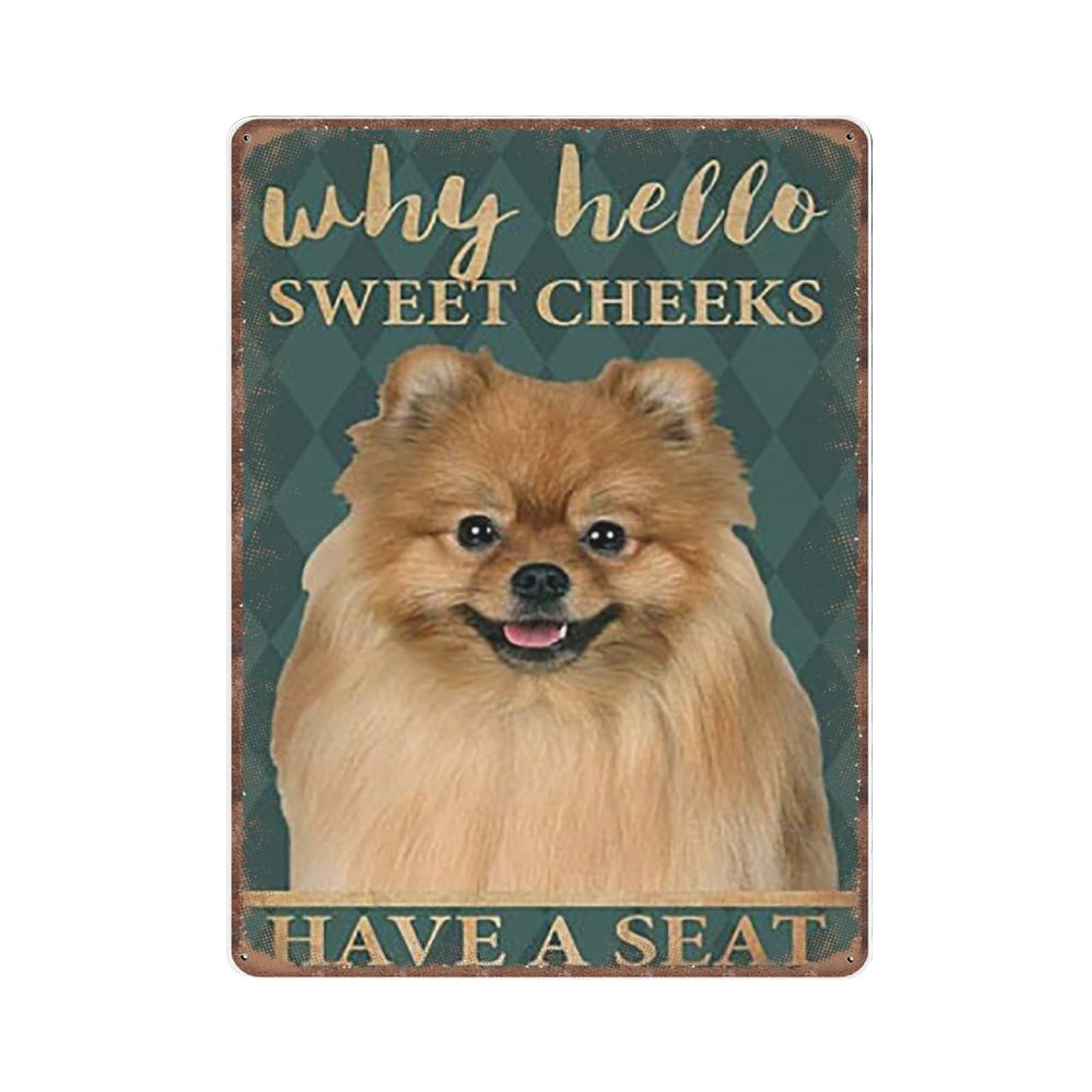 rayprint Pomeranian Why Hello Sweet Cheeks Have A Seat Tin Signs Funny Vintage Metal Sign Plaqu Poster Wall Art Pub Bar Kitchen Garden Bathroom Home Decor, 30x40 cm