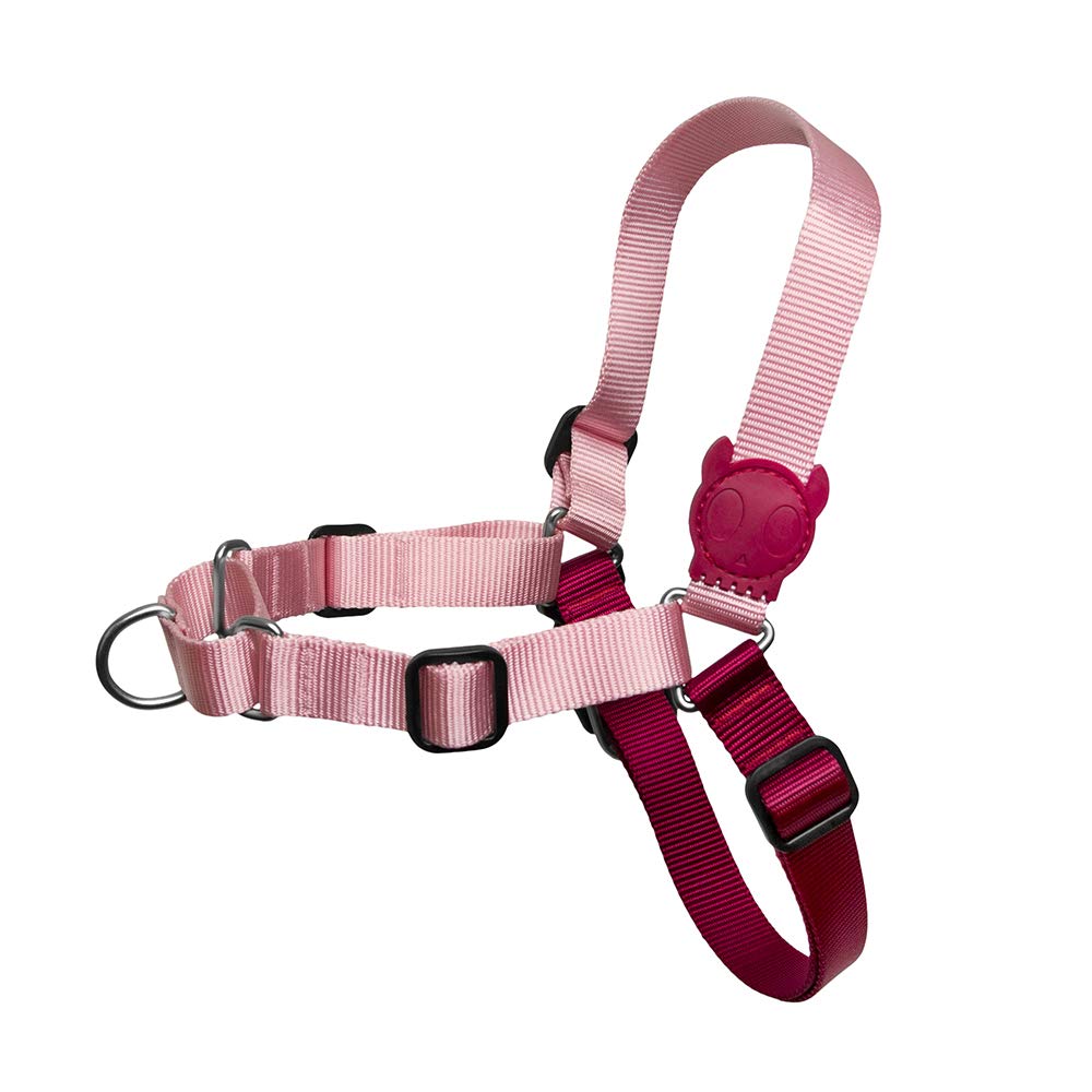 Peitoral Zeedog Anti-Puxão - Medium - Blink : Amazon.com.br: Pet Shop