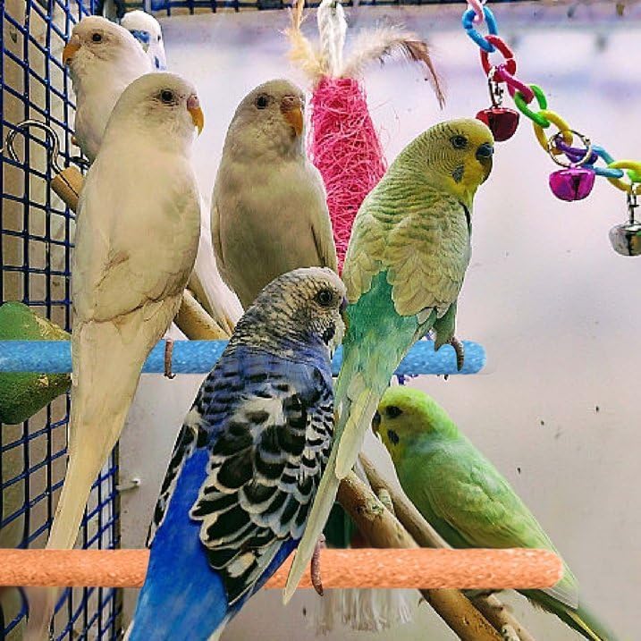 Image of Parrot Perch Stand, Natural Wood Bird Perch Stand Platform Paw Grinding Sticks, Cage Accessories Exercise Toys for Budgies Parakeets Cockatiels (Random Color 1Pc)