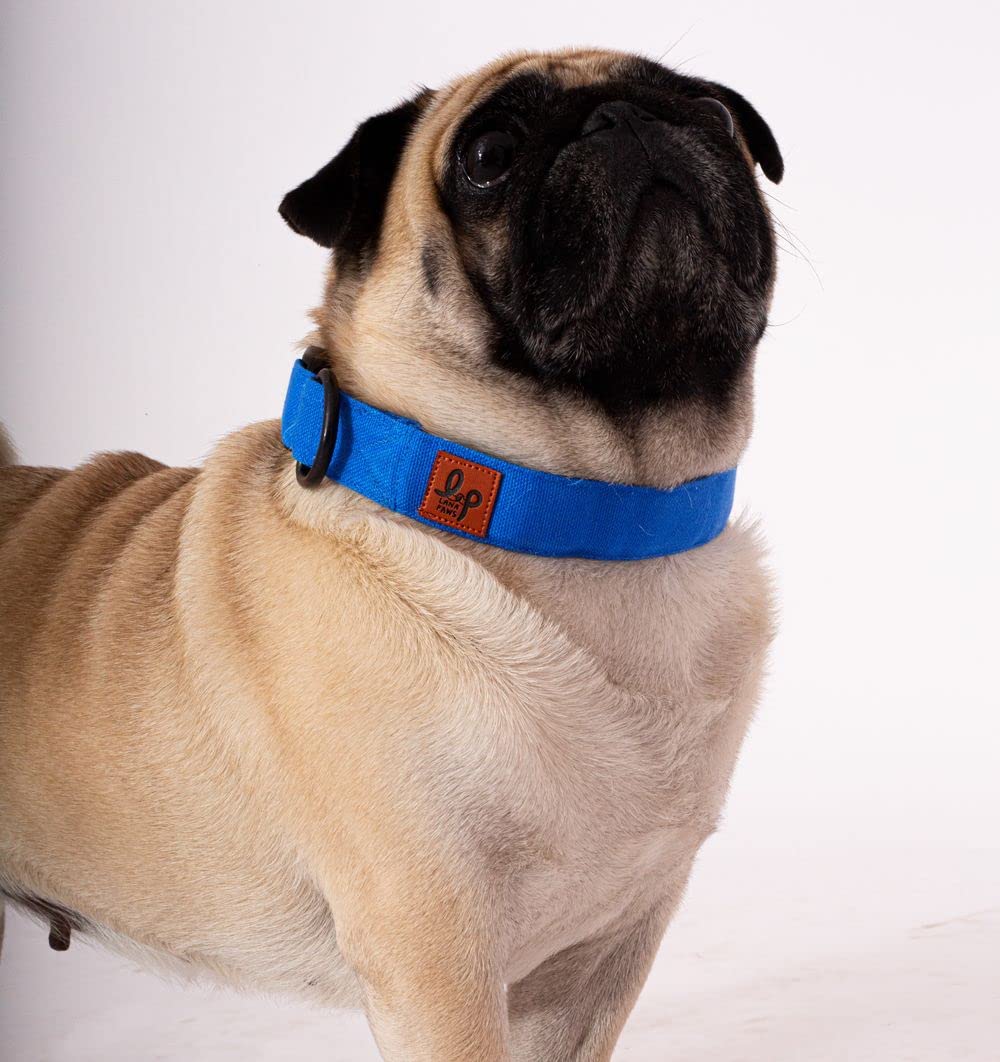 Lana Paws Skin-Friendly, Lightweight & Durable Fabric Dog CollarFor Large Dogs, Olive Green (B09J8TBVTW) Amazon Price History, Amazon Price Tracker