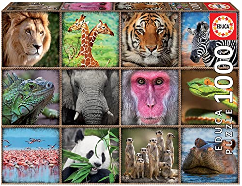 Educa 1000 Piece Fall Smoke Puzzle - Autumn Landscape, Aspen Grove, Includes Puzzle Glue