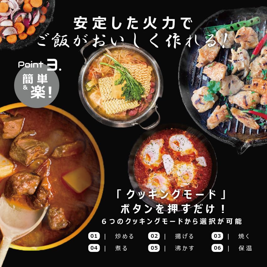 超電磁クッキングヒーター （クッキングトップ） LOOZER SEC100 ルーザー LOOZER 超電磁クッキングヒーター （クッキングトップ