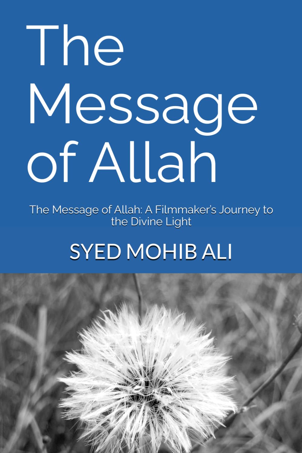 The Message of Allah: The Message of Allah: A Filmmaker’s Journey to the Divine Light