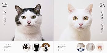 ねこさま名鑑100 | パイ インターナショナル |本 | 通販 | Amazon