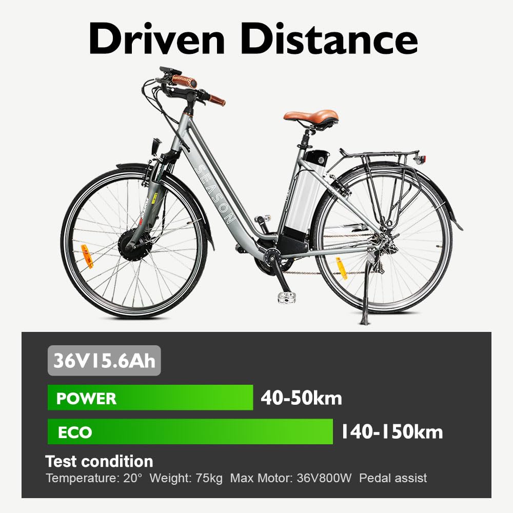 Batteria agli ioni di litio 36 V 15,6 Ah con caricatore per bicicletta elettrica Pedelec MTB Phylion/XH370-10J Zhenlong/ZL1010-F