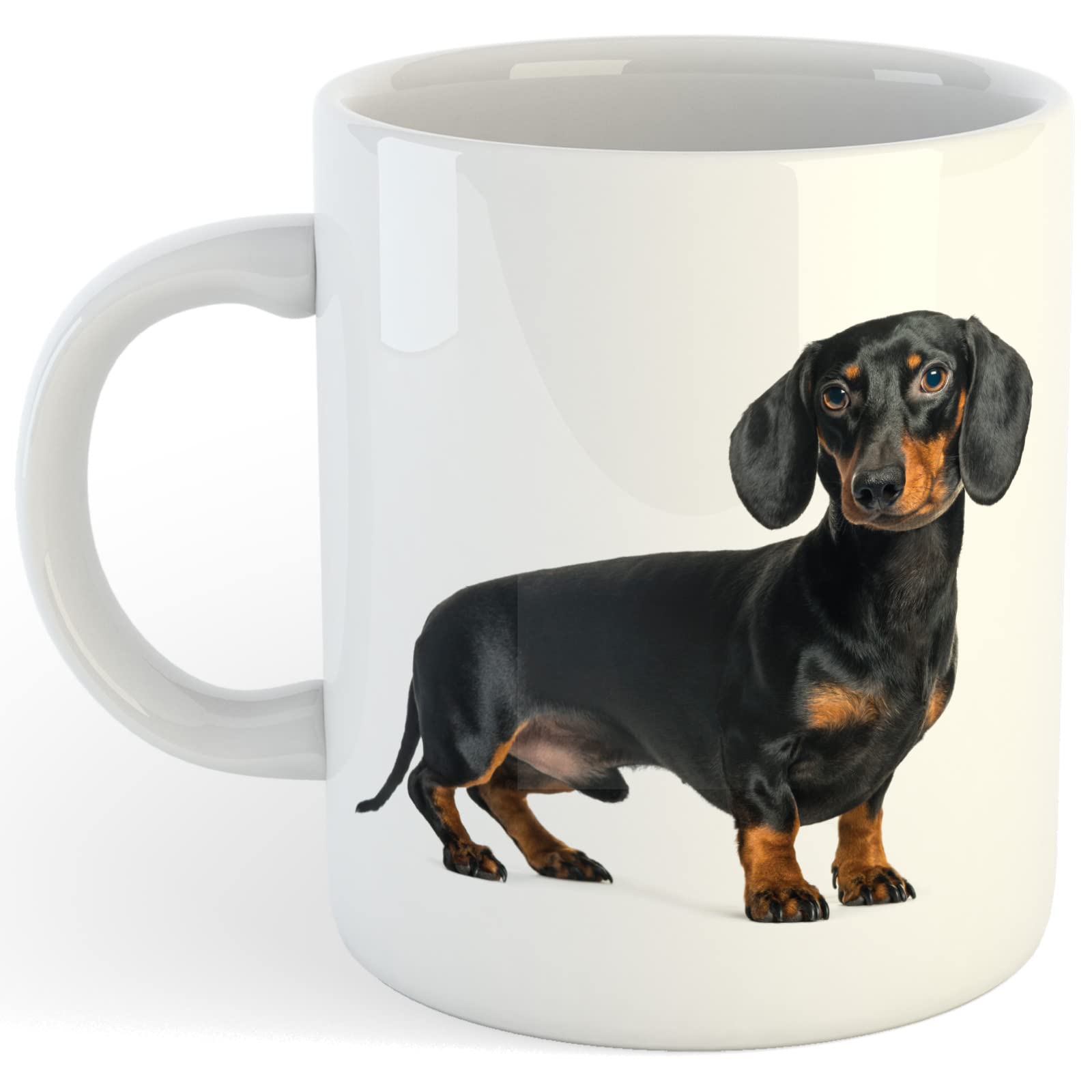 Sausage Dog Animal Lover Funny Pet Novelty Coffee Tea Cup Mug